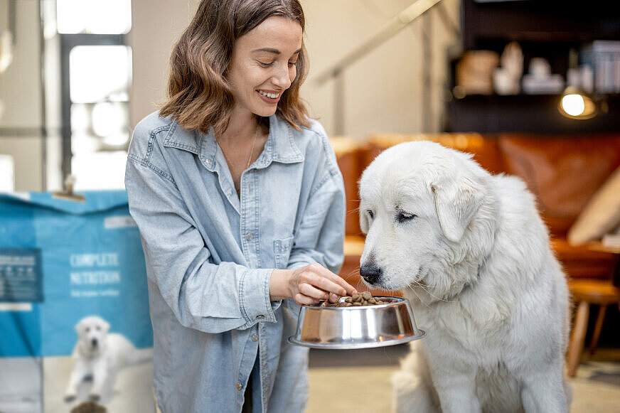 Frau gibt ihrem Hund Futter